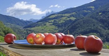 Large EU apple crop puts pressure on prices