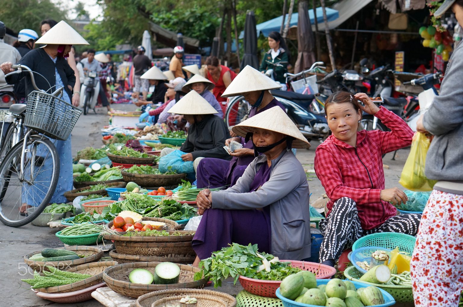 Vietnam strengthens trading links with Southern Hemisphere - Eurofresh ...