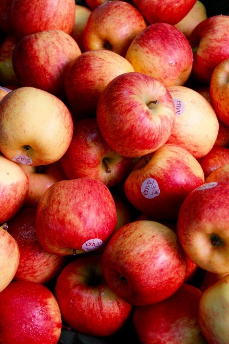 Steady Rise Of New Zealands Apple Eurofresh Distribution