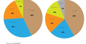 Citrus losing primacy in global fruit trade