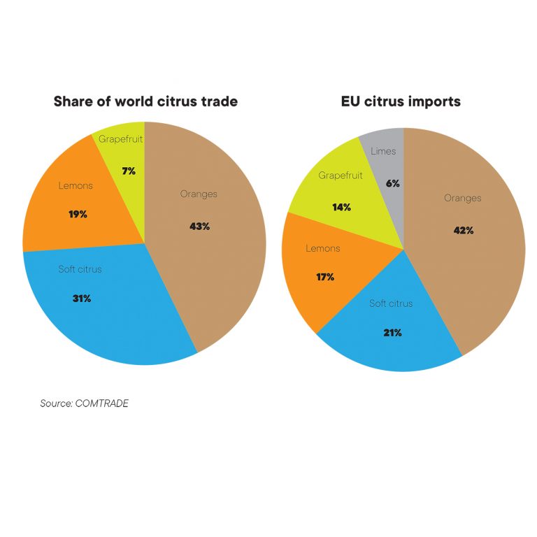 Citrus losing primacy in global fruit trade – Eurofresh Distribution