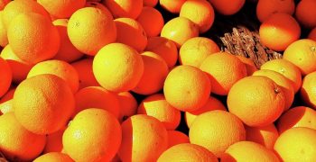 Supplies in US citrus market fall