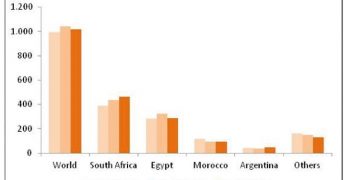 EU citrus crop shrinks