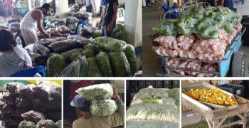 Philippines experience vegetable shortage 