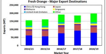 Australian citrus bounces back!