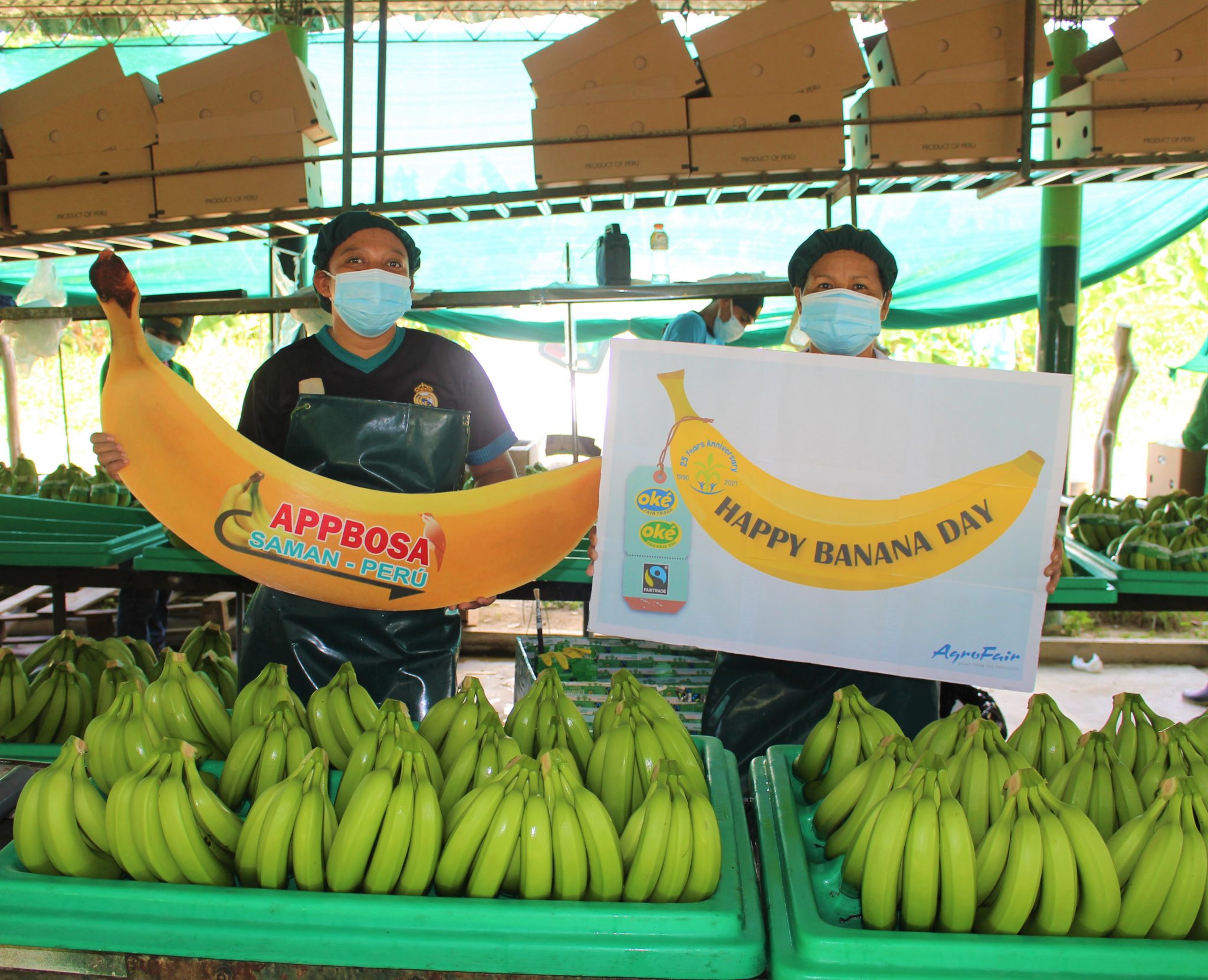 World Banana Day celebrating the second most consumed fruit in the