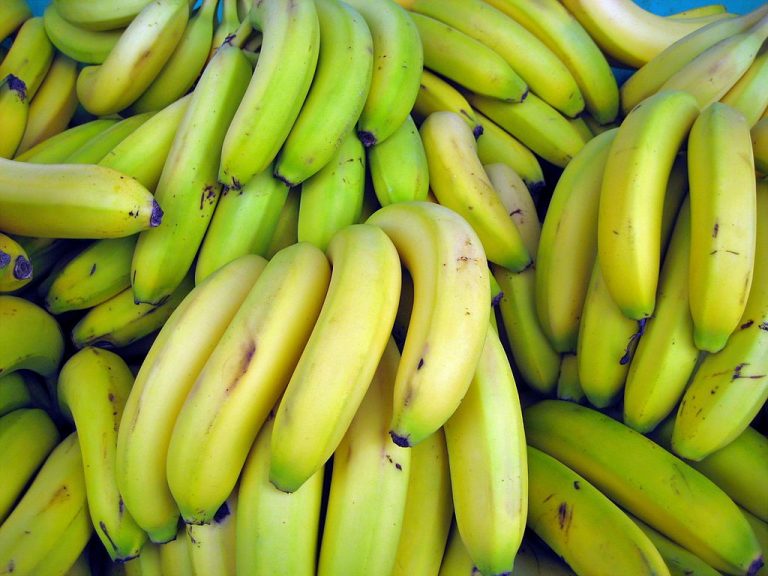 philippines-bananas-being-squeezed-out-of-chinese-market-eurofresh