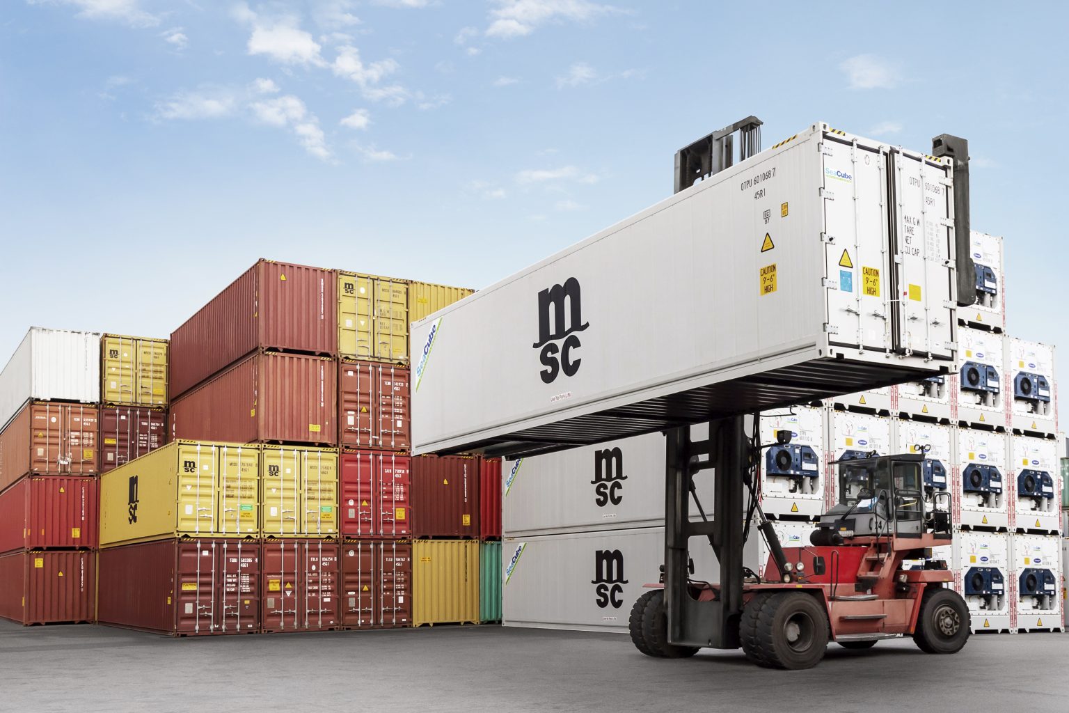 MSC Reports Another Successful Year For Its Reefer Cargo Services ...