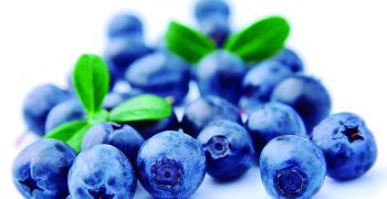 Peru’s blueberry exports set to smash 200,000-ton barrier