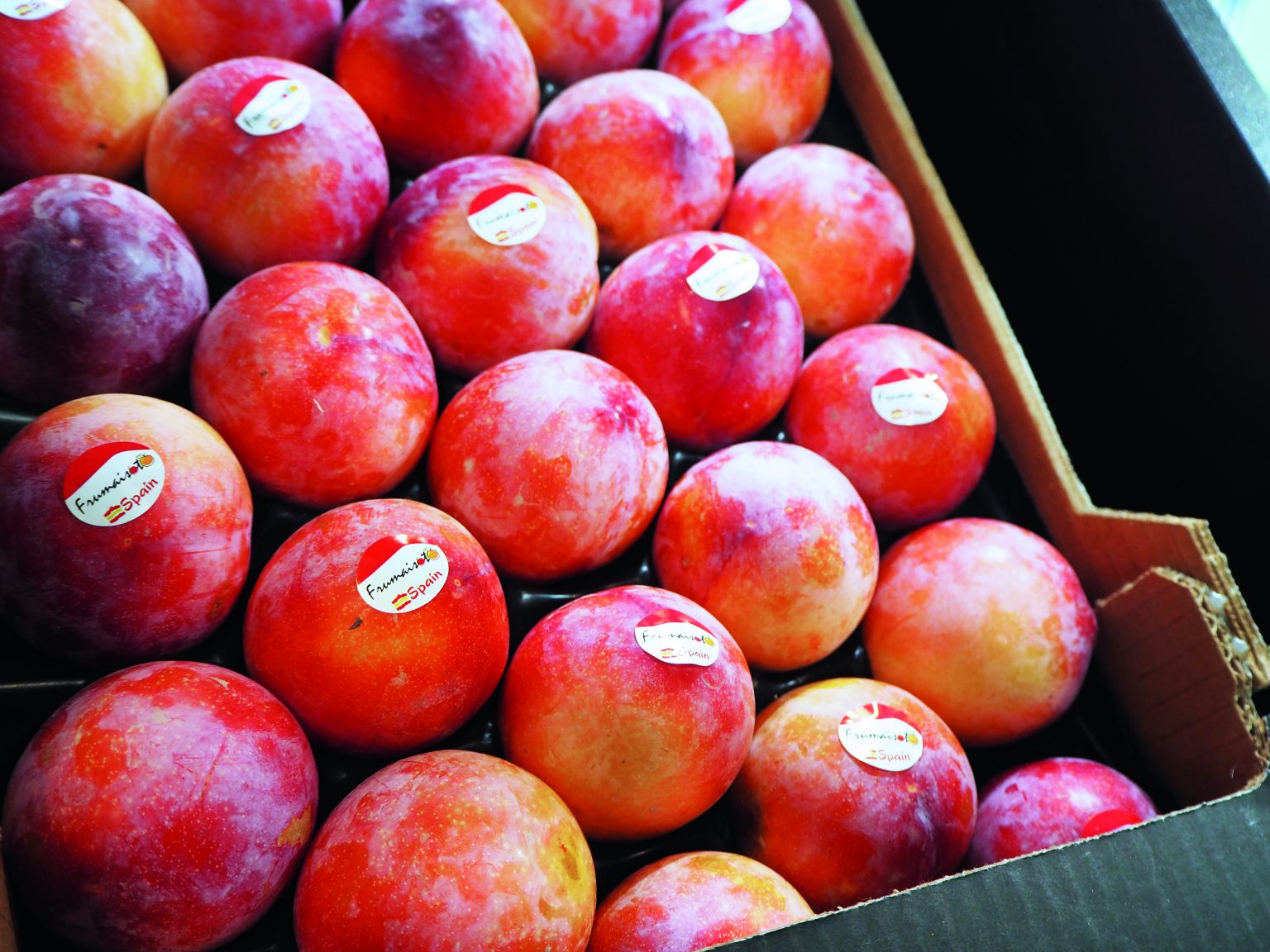 spanish-peach-season-may-come-early