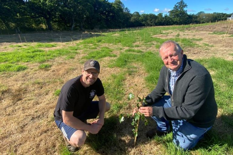 root-zero-plants-biodiversity-woodland-eurofresh-distribution